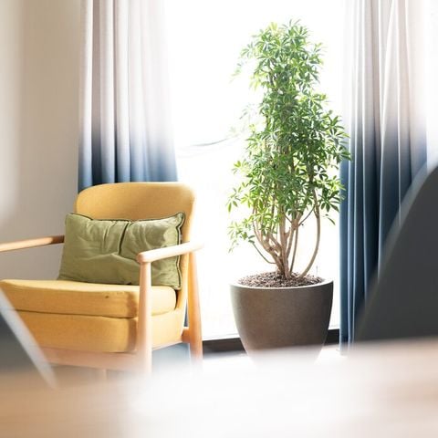 Lodge 4 personen - High Tide Adventure