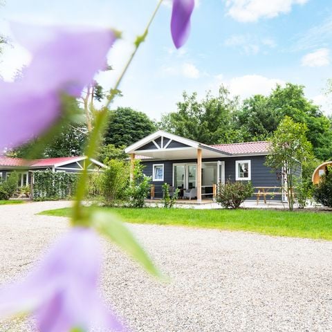 Vakantiepark de Krakeling - Camping Zeist - Afbeelding N°3