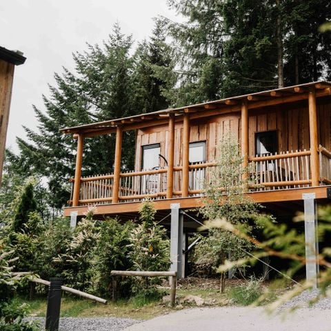 UNIEKE ACCOMMODATIE 4 personen - Luxe boomhut met glijbaan