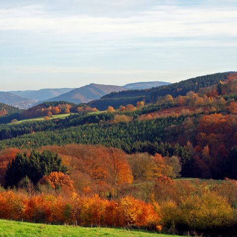UplandParcs Sauerland - Camping Noordrijn-Westfalen - Afbeelding N°5