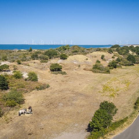 Landal Camping De Zandput - Veere - Afbeelding N°4
