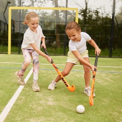 Brinckerduyn - Ooststellingwerf - Afbeelding N°4