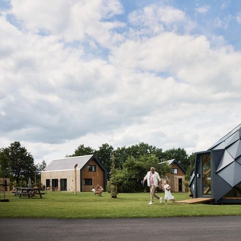 Brinckerduyn - Camping Ooststellingwerf - Afbeelding N°2