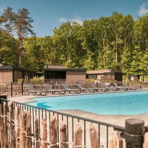 Soof Heuvelrug - Camping Rhenen - Afbeelding N°2