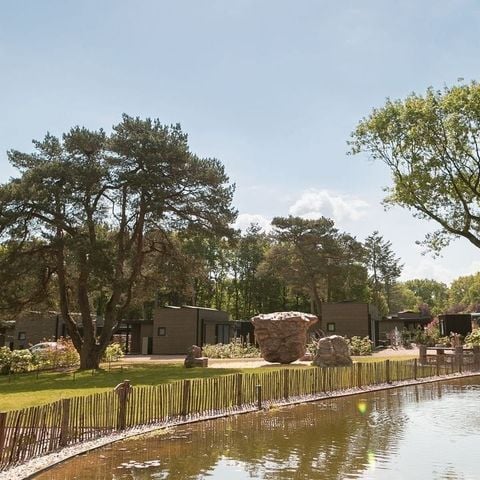 Soof Heuvelrug - Camping Rhenen - Afbeelding N°5