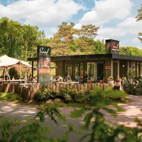 Soof Heuvelrug - Camping Rhenen - Afbeelding N°3
