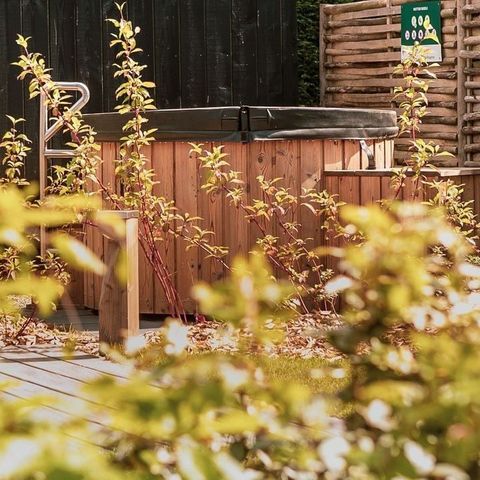 Soof Heuvelrug - Camping Rhenen - Afbeelding N°6