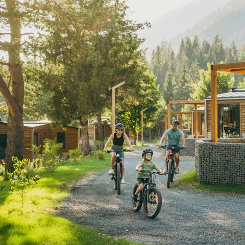 EuroParcs Pressegger See - Camping Karinthië - Afbeelding N°2
