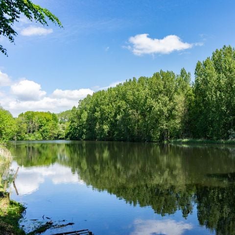 STAANPLAATS - Camperplaats Comfort aan het water