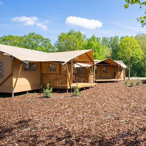 Tent 4 personen - Glampingtent 4