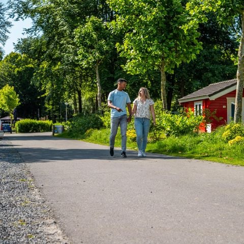 Tent 4 personen - Glampingtent 4