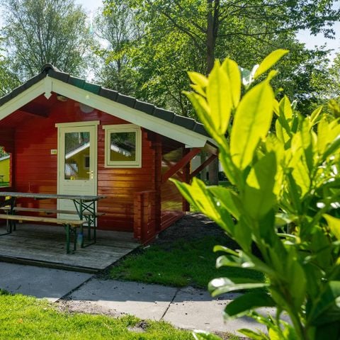 UNIEKE ACCOMMODATIE 5 personen - Cabin 5