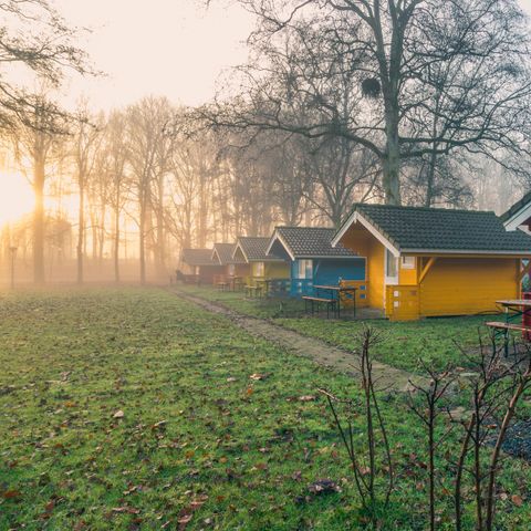 EuroParcs Het Amsterdamse Bos - Camping Amsterdam - Afbeelding N°4