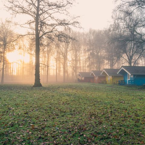 EuroParcs Het Amsterdamse Bos - Camping Amsterdam - Afbeelding N°6