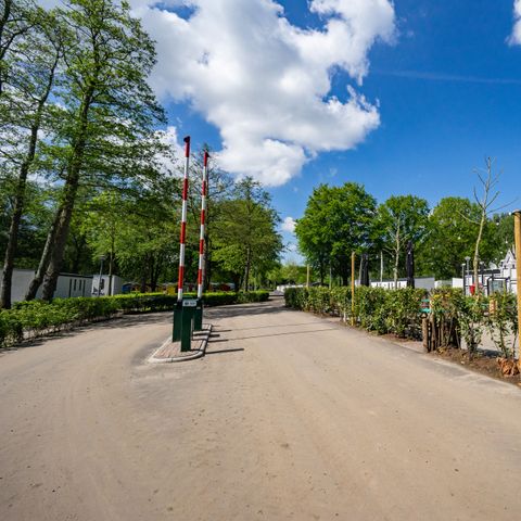 EuroParcs Het Amsterdamse Bos - Camping Amsterdam - Afbeelding N°2