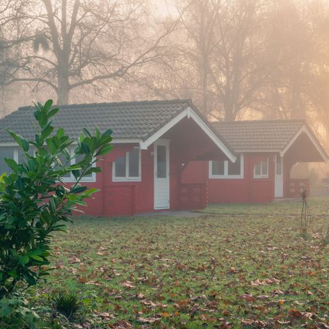 EuroParcs Het Amsterdamse Bos - Camping Amsterdam - Afbeelding N°5