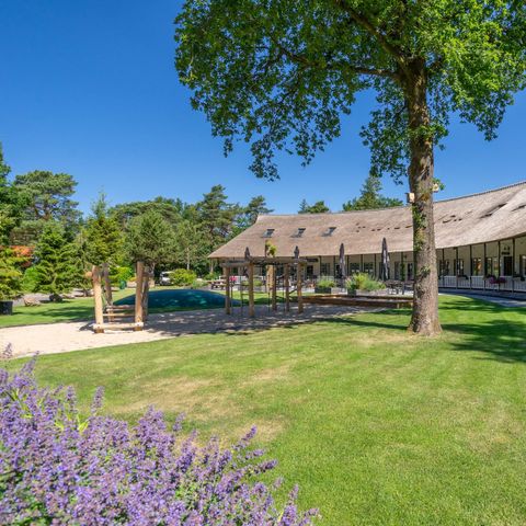 Landgoed 't Wildryck - Camping Westerveld - Afbeelding N°3