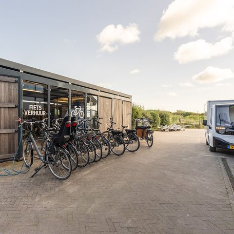 Roompot Ameland - Camping Ameland - Afbeelding N°3