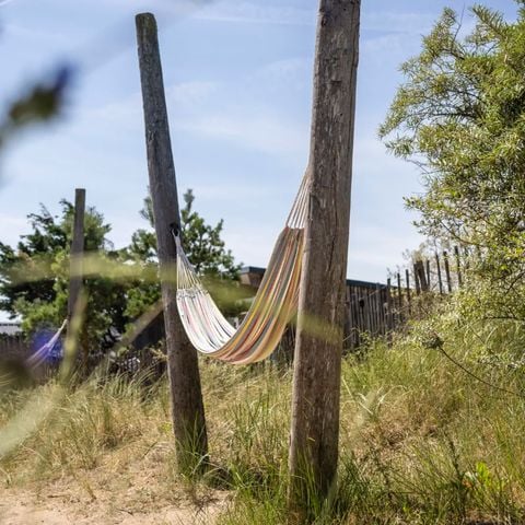Landal Bloemendaal aan Zee - Bloemendaal - Afbeelding N°5