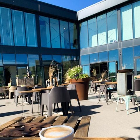Roompot Bloemendaal aan Zee - Camping Bloemendaal - Afbeelding N°5