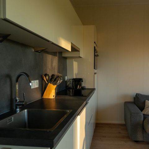 Lodge 2 personen - Boslodge Royal met sauna  en hondenhek