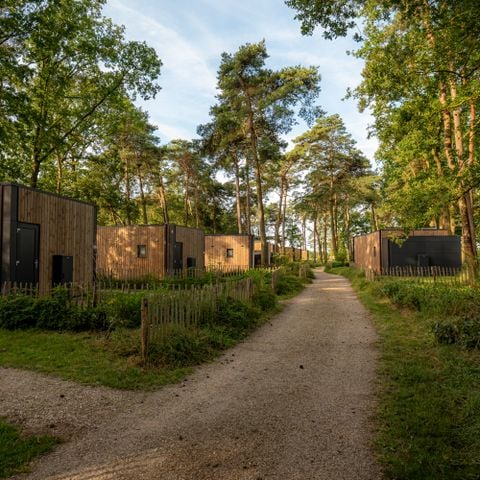 Lodge 2 personen - Boslodge Royal met sauna  en hondenhek