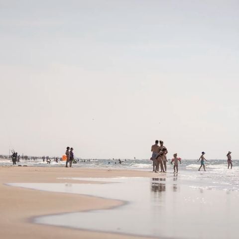 Landal Zandvoort - Zandvoort - Afbeelding N°4