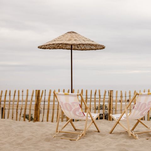 Roompot Zandvoort - Camping Zandvoort - Afbeelding N°3