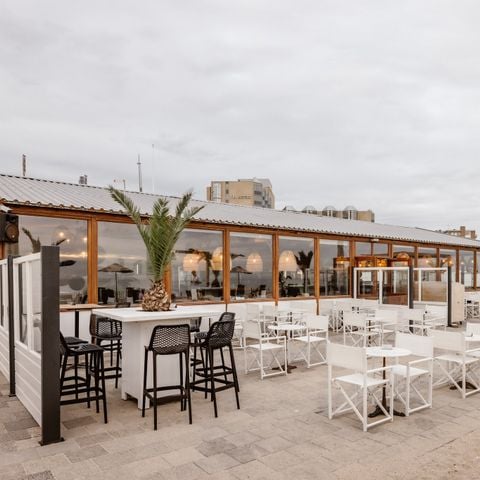 Landal Zandvoort - Zandvoort - Afbeelding N°6