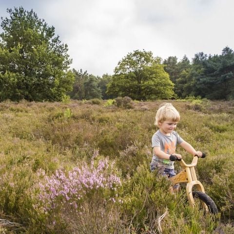 Landal Drentse Lagune - Camping Midden-Drenthe - Afbeelding N°3