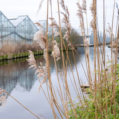 VAKANTIEHUIS 8 personen - Villa