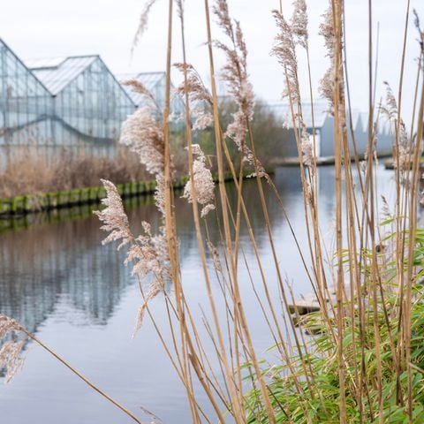 VAKANTIEHUIS 8 personen - Villa