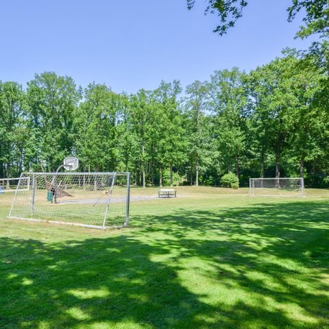 Park Drentheland - Camping Westerveld - Afbeelding N°4