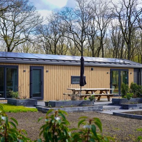 Park Drentheland - Westerveld - Afbeelding N°4