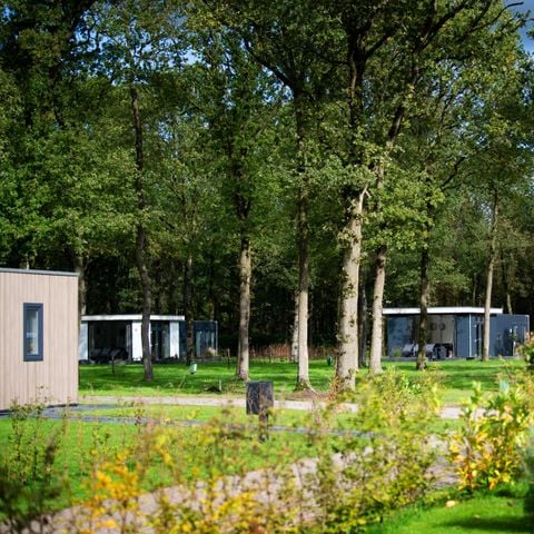 Park Drentheland - Westerveld - Afbeelding N°3