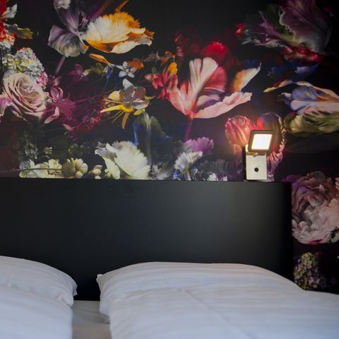 Lodge 4 personen - Duin de Luxe