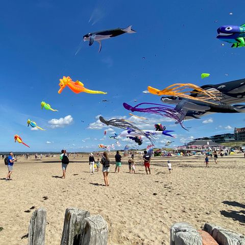 Lodge 4 personen - Duin de Luxe