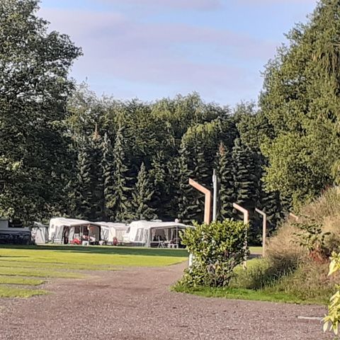Heidepark Veluwschkarakter - Camping Nunspeet - Afbeelding N°6