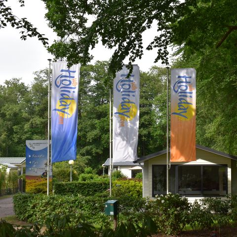 Heidepark Veluwschkarakter - Camping Nunspeet - Afbeelding N°3