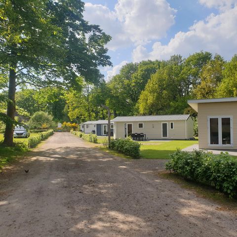 Heidepark Veluwschkarakter - Camping Nunspeet - Afbeelding N°4
