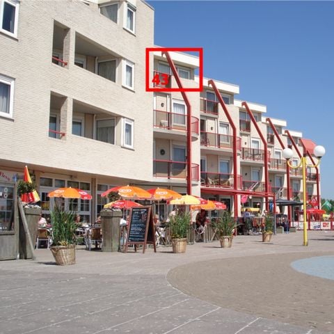 APPARTEMENT 4 personen - Zuiderzee State Deluxe Huisdiervriendelijk