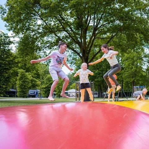 Vakantiepark Latour - Camping Oirschot - Afbeelding N°5
