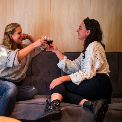 UNIEKE ACCOMMODATIE 3 personen - Tiny house Deluxe