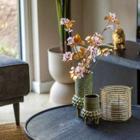 VAKANTIEHUIS 6 personen - Ecovilla Boszicht Comfort