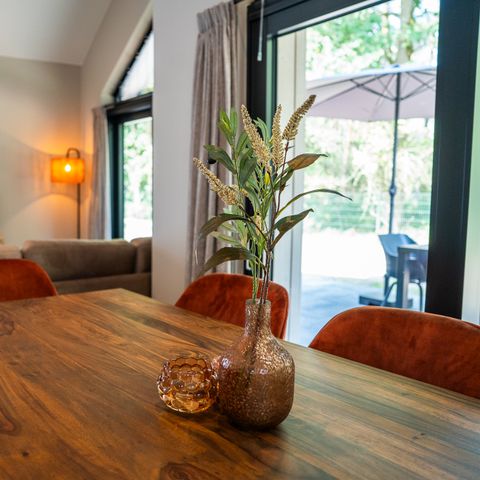 VAKANTIEHUIS 6 personen - Ecovilla Waterzicht Luxe