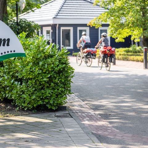 Vakantiepark Latour - Camping Oirschot - Afbeelding N°2