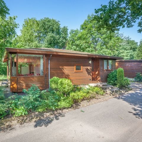 Lodge 4 personen - Veluwe
