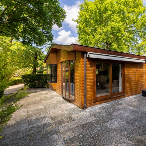 Lodge 4 personen - Veluwe