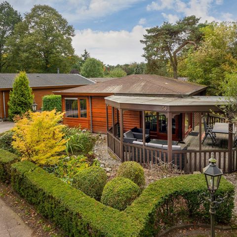 Lodge 4 personen - Boslodge