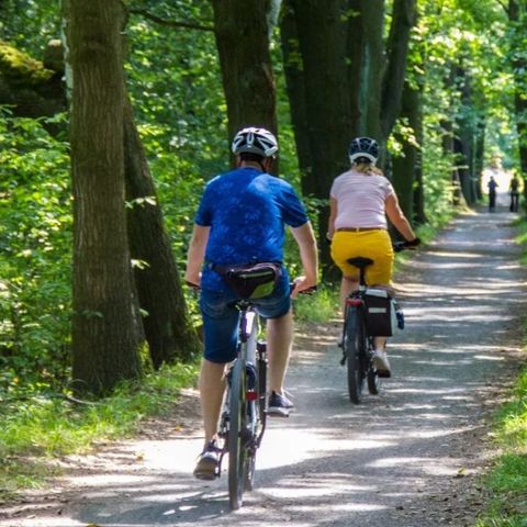 Urban Gardens Gent - Camping Oost-Vlaanderen - Afbeelding N°3